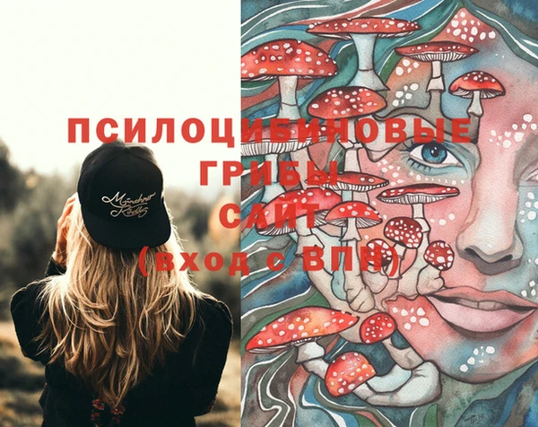 PSILOCYBIN Горно-Алтайск