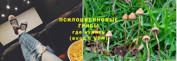 МДМА Горняк