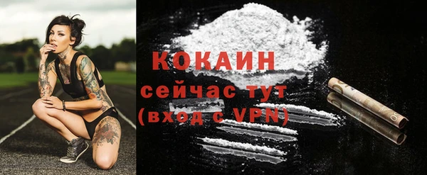 МДМА Горняк
